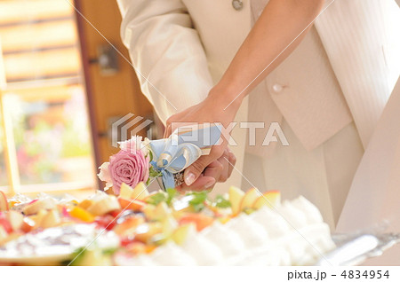 ケーキカット 4834954