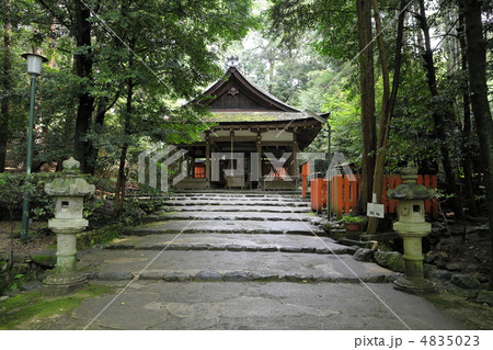 新緑の大田神社 4835023