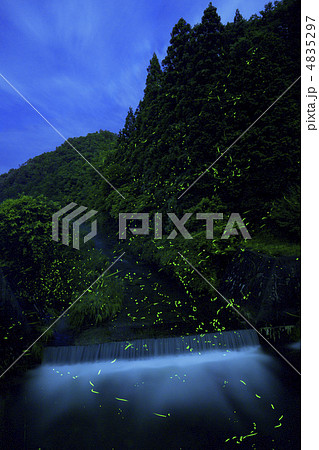 幻想乱舞 4835297