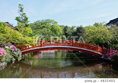 神泉苑の法成橋 神泉苑の法成橋 4835403