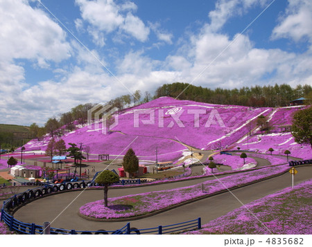 東藻琴芝桜公園 芝桜まつり 4835682