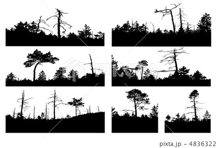 Vector Silhouettes Tree On White Backgroundのイラスト素材