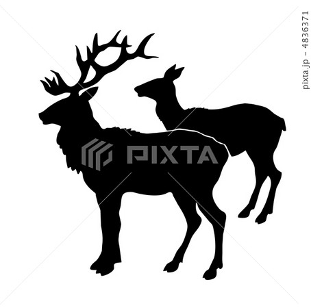 vector illustration of the deers on white background vector illustration of the deers on white background 4836371