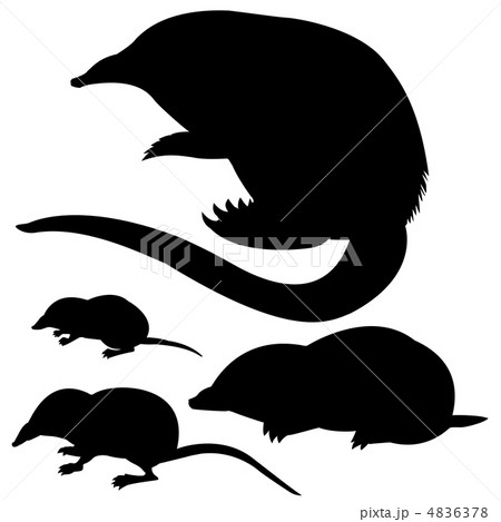 vector  silhouette of the mole, mouse and desmans on white backg 4836378