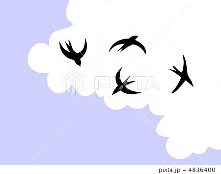 vector  drawing swallow flying to sky 4836400