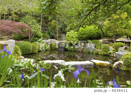 実光院の庭園 4836411