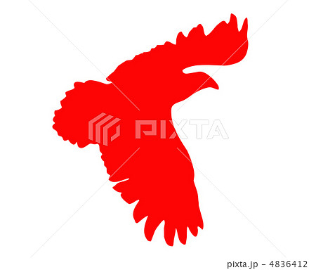vector  silhouette of the ravenous bird on white background 4836412