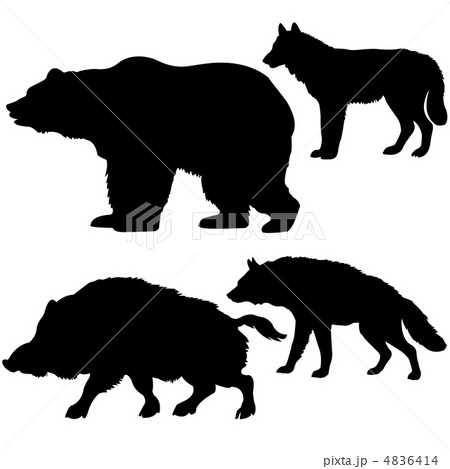 vector  silhouettes of the wild boar, bear, wolf, hyena on white 4836414