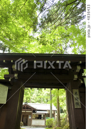 来迎院 三門 来迎院 三門 4836433