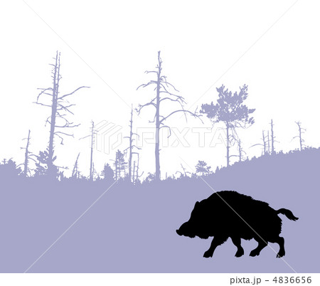 vector silhouette of the wild boar vector silhouette of the wild boar 4836656