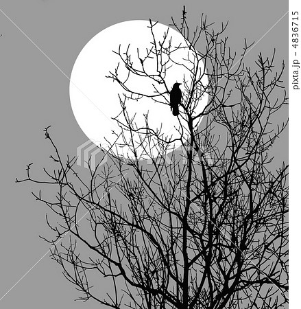 vector illustration ravens sitting on tree against sun vector illustration ravens sitting on tree against sun 4836715