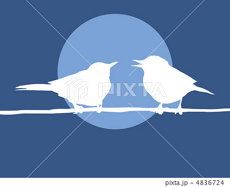 vector  silhouette two birds on background sun 4836724