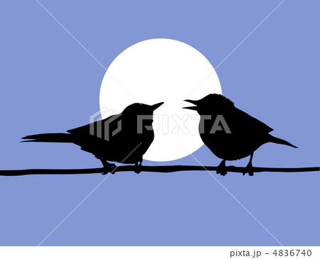vector drawing two birds  on solar background 4836740