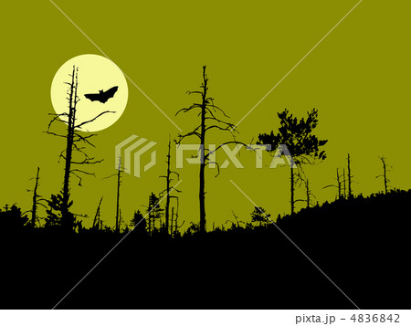 vector silhouette old dry wood vector silhouette old dry wood 4836842