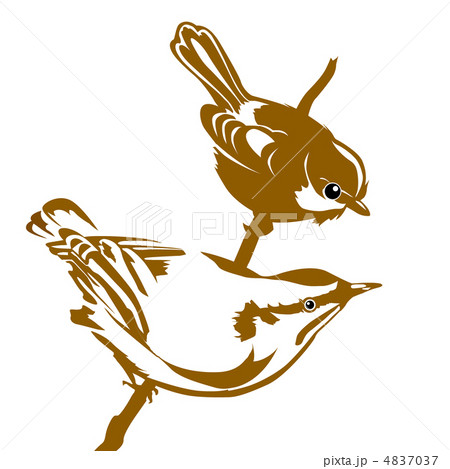 vector silhouette of the bird on white background vector silhouette of the bird on white background 4837037