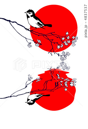 bird on branch silhouette on solar background, vector illustrati bird on branch silhouette on solar background, vector illustrati 4837537