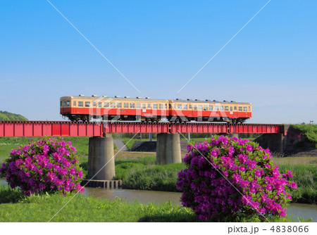 ツツジと小湊鉄道 4838066