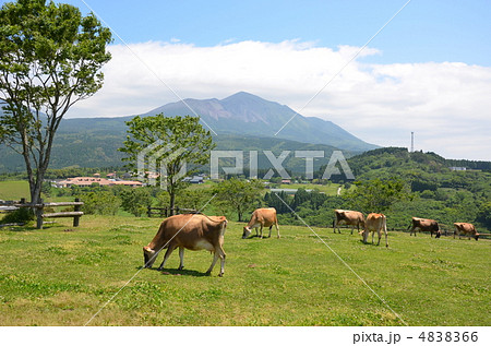 高千穂牧場と高千穂峰 4838366