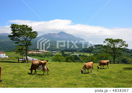 高千穂牧場と高千穂峰 高千穂牧場と高千穂峰 4838367