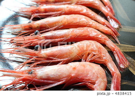 なんばん海老 4838415