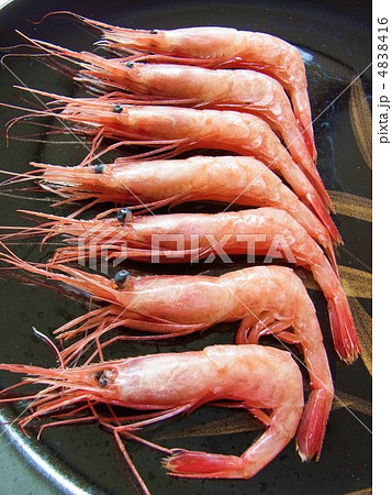 なんばん海老 4838416