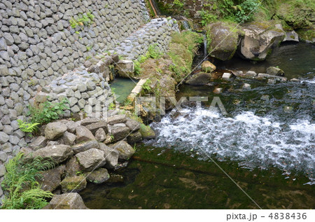 塩浸温泉坂本龍馬ゆかりの天降川河畔の湯船 塩浸温泉坂本龍馬ゆかりの天降川河畔の湯船 4838436