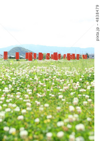 藤原宮跡 藤原宮跡 4838479