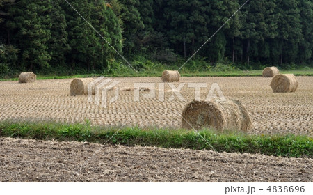 稲わらロール 4838696