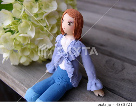 紫陽花とクレイドール 4838721