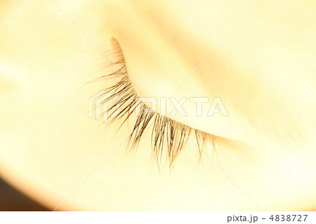 まつげのアップ 4838727