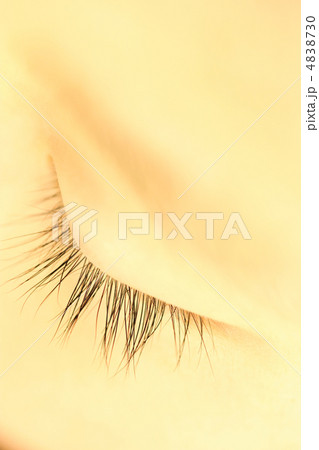 まつげのアップ 4838730