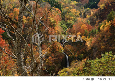 紅葉の落ち口の滝 紅葉の落ち口の滝 4839141