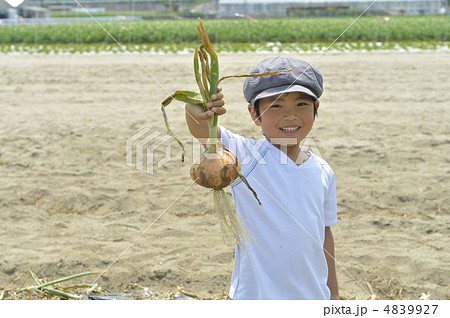食育 4839927