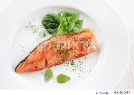 サーモン 4840044
