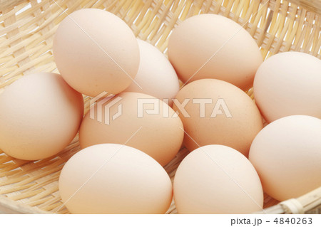 たまご 4840263
