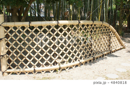 斜め　格子　竹垣 4840818