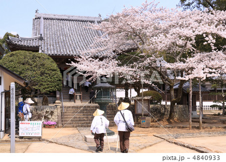 四国霊場第4番札所「大日寺」満開の桜とお遍路さん 4840933