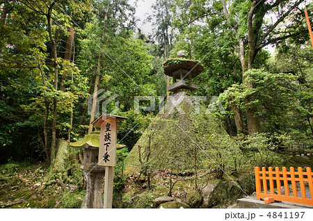 宇佐神宮　石灯籠 4841197