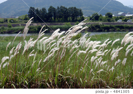 草はら 4841305