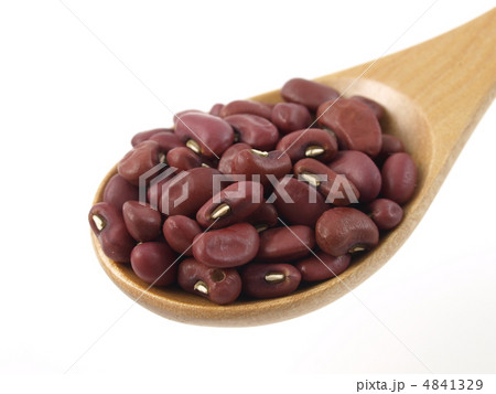 ささげ ささげ 4841329