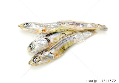 煮干し 4841572