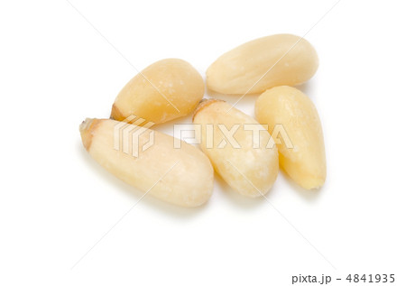 マツの実 4841935