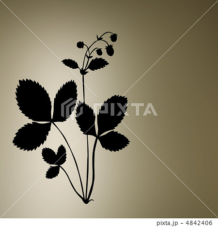 grunge background grunge background 4842406