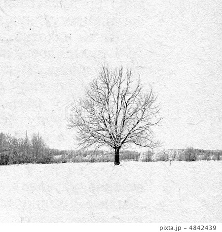 grunge background 4842439
