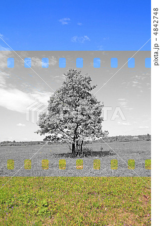 grunge background 4842748