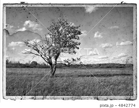 grunge background grunge background 4842774