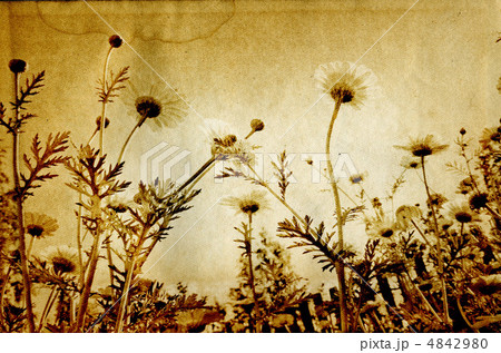 grunge background 4842980