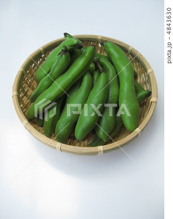 たくさんの空豆 たくさんの空豆 4843630