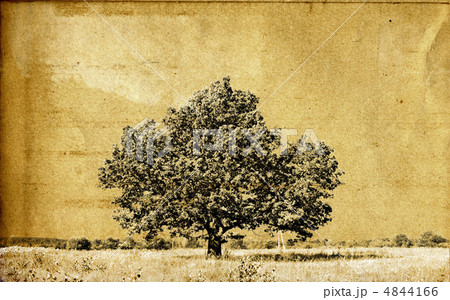 grunge background grunge background 4844166