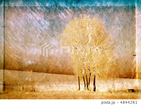 grunge background grunge background 4844261